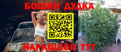 дживик Шебекино