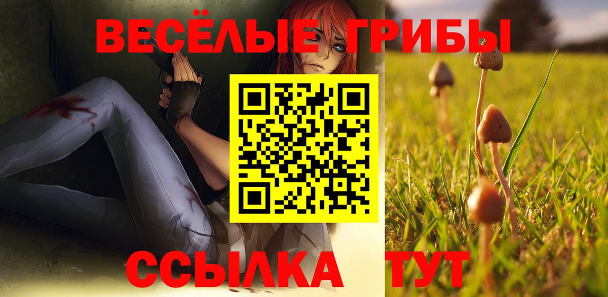 Галлюциногенные грибы прущие грибы  Вход с VPN  Новотроицк 