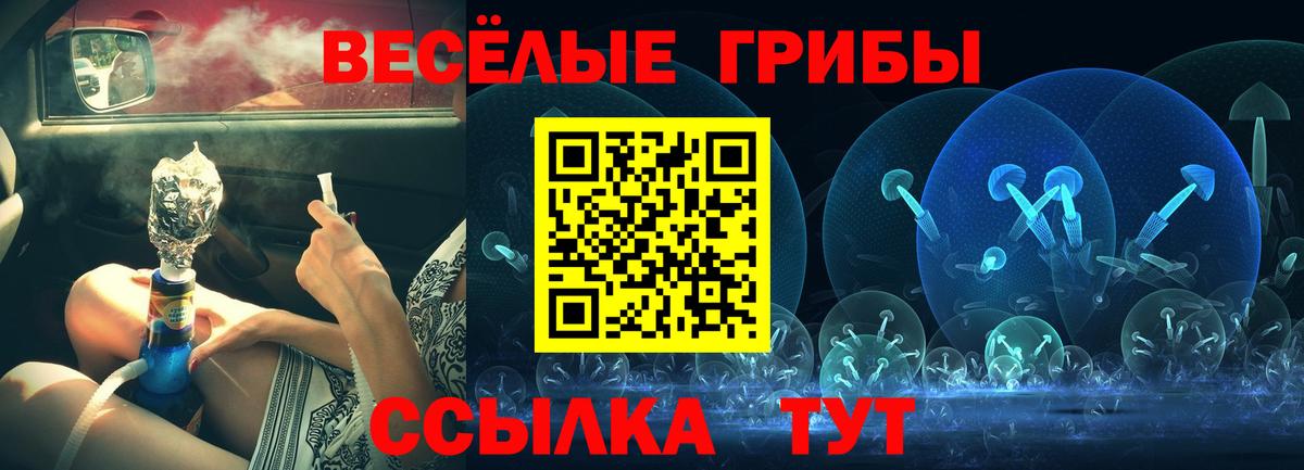 Галлюциногенные грибы Psilocybine cubensis Новотроицк