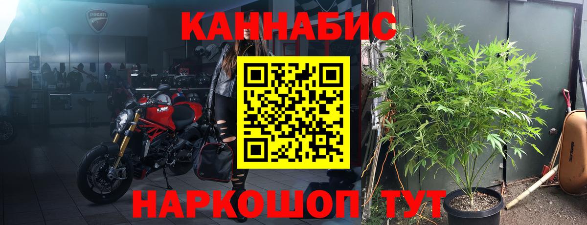 Бошки марихуана семена Новотроицк